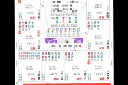 五行八字排盘