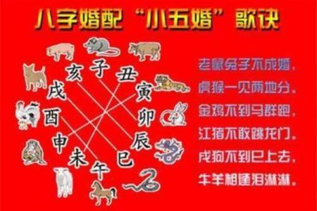 八字婚姻匹配如何解读？