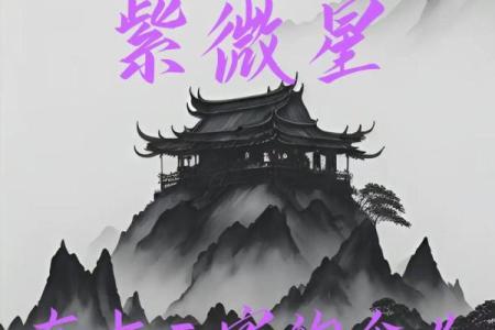 预言紫薇星