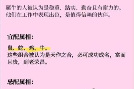 属相配对算命