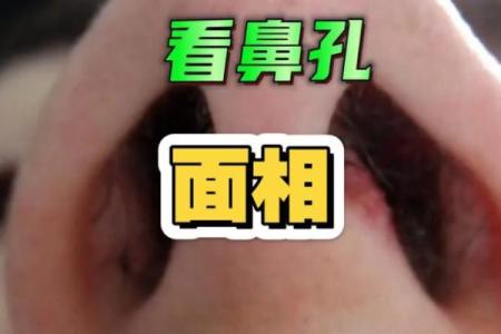 相面算命看见鼻孔好吗