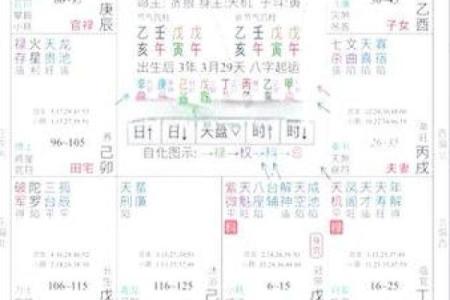 紫薇豆斗数软件