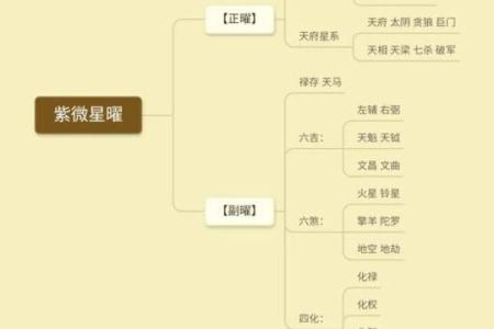 中华紫薇斗数在线排盘