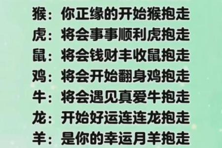 男女姓名配对缘分测试图 男女姓名婚姻属相配对表？