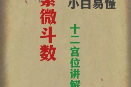 国学通鉴之紫薇斗数