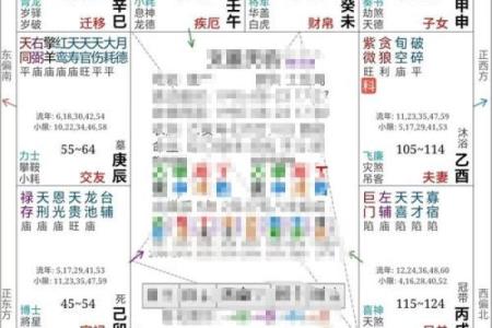 紫薇斗数丈夫富贵