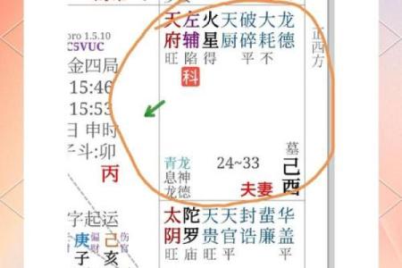 紫薇斗数子女成就