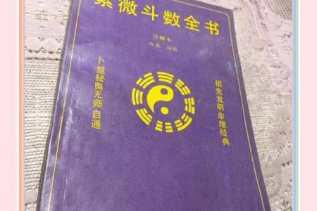 紫薇斗数与名字