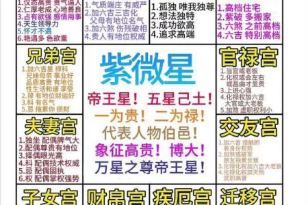紫薇斗数拍盘
