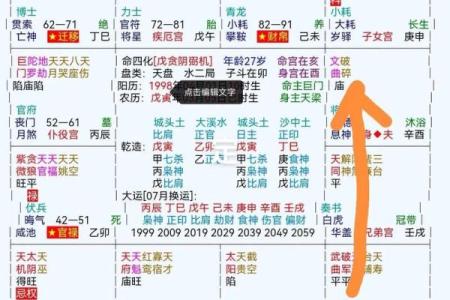 叠宫紫薇斗数