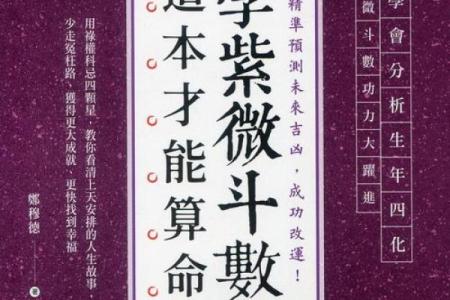 艺术紫薇斗数