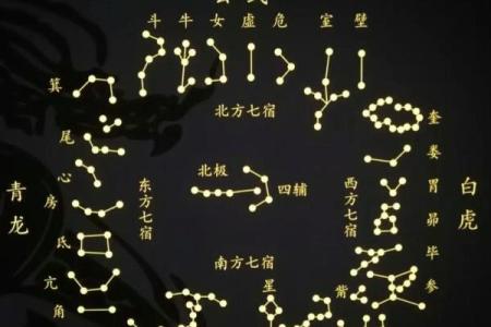 鬼谷子紫薇斗数