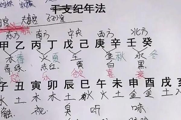 我的生辰八字是什么