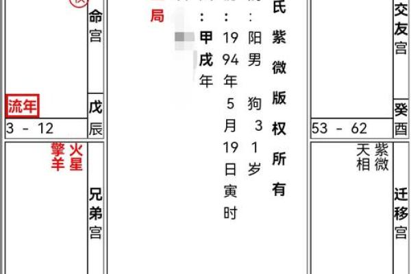 紫薇斗数星盘预测