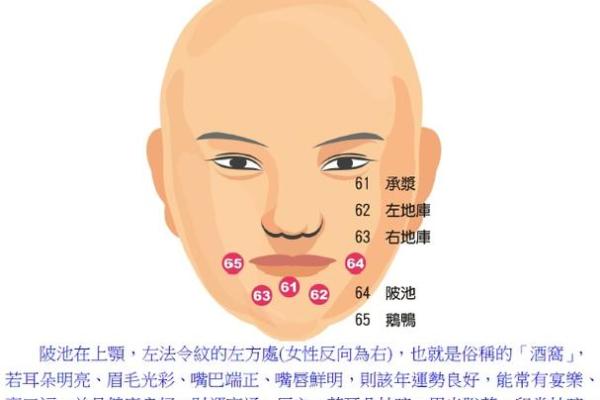 台湾最厉害的算命网站