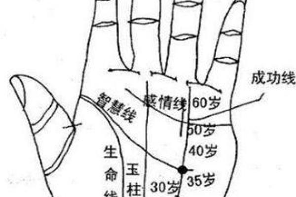 男人生命线图解，男人看手相生命线算命