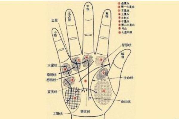男人生命线图解，男人看手相生命线算命