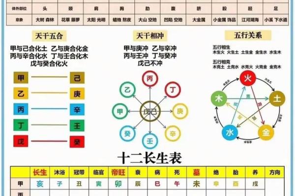 国学文化：简单的“天干地支”求年月日时八字