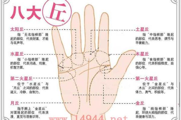 女人断掌手相算命图解