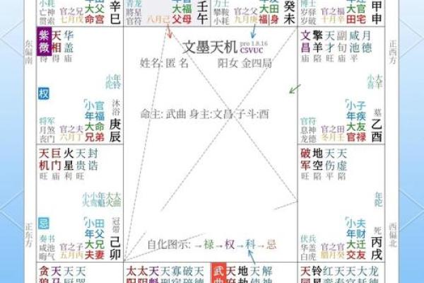 紫微斗数基 紫微斗数基础知识与运用？