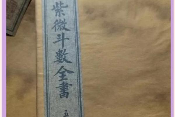 紫薇斗数陆
