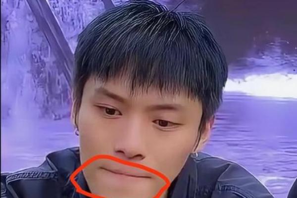 八字命理看小杨哥的命运