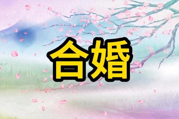算命说的合婚是什么意思