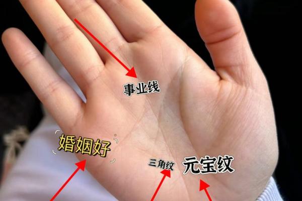 手相图解大全女右手算命 看手相算命图解女性右手