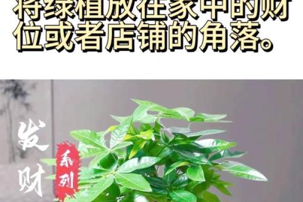 提升婚姻爱情运势的物品和风水