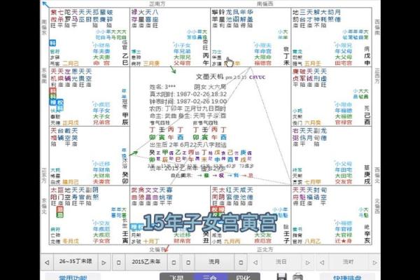 紫薇斗数命主详解