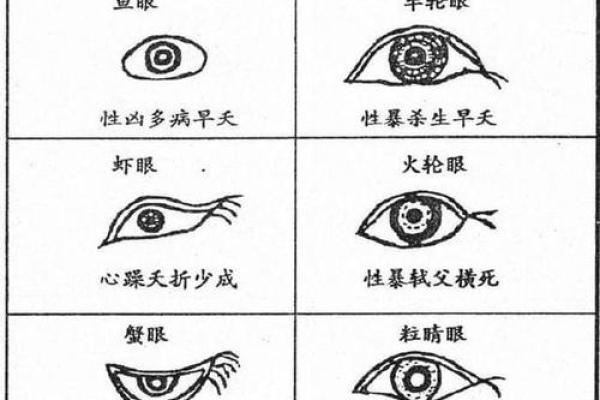 从人的腿部看相算命