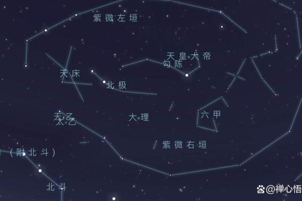 紫微斗数揭秘：你的富贵之路藏在星宿之中。