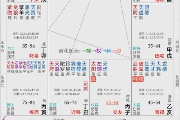手机紫薇斗数app