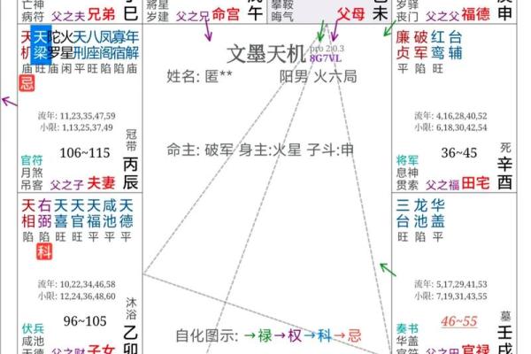 手机紫薇斗数app
