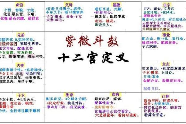 紫薇斗数怎么看大限旺衰