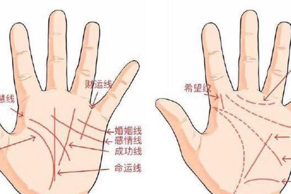 梦见看手相算命