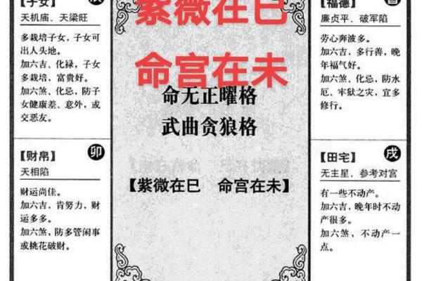 解紫薇斗数