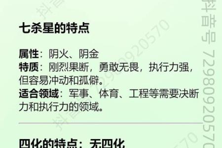 紫微斗数之事业宫与诸星，七杀星在事业宫是什么意思？
