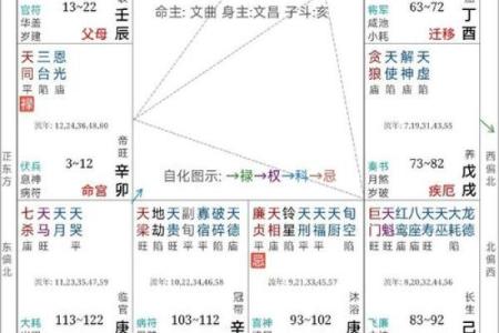 紫薇斗数中什么是子女宫