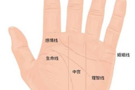 心大八字