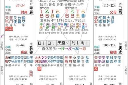 什么叫火凤凰命格,命带凤凰的八字