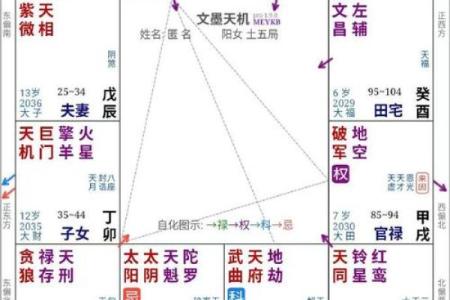 紫薇斗数怎么kan