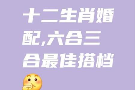八字合婚在线算命-1971年属猪的蕞佳配偶是哪个属相