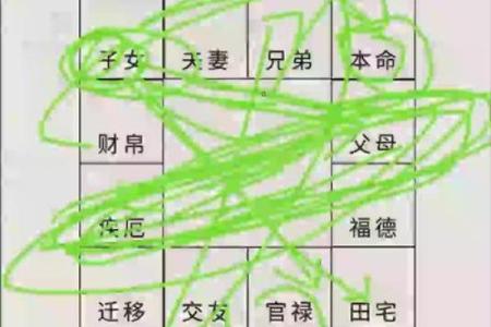 紫薇斗数壬化禄