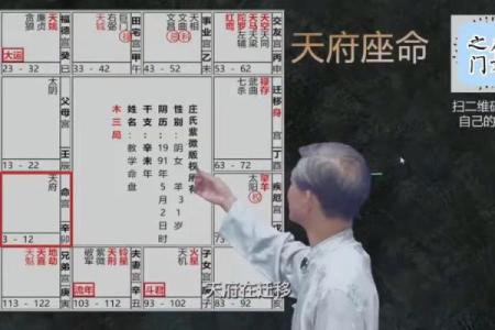 南北派紫薇斗数