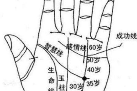 男人生命线图解，男人看手相生命线算命