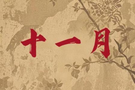 11月1日生日算命，11月1日出生的名人