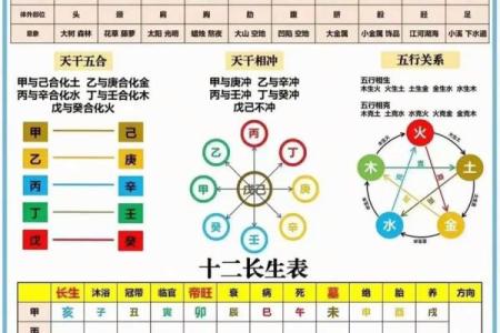 国学文化：简单的“天干地支”求年月日时八字