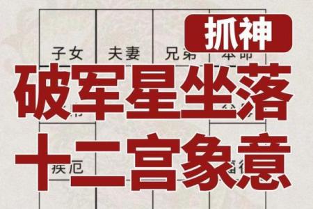 紫微斗数命宫破军,女命命宫紫微破军