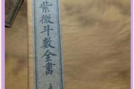 紫薇斗数陆